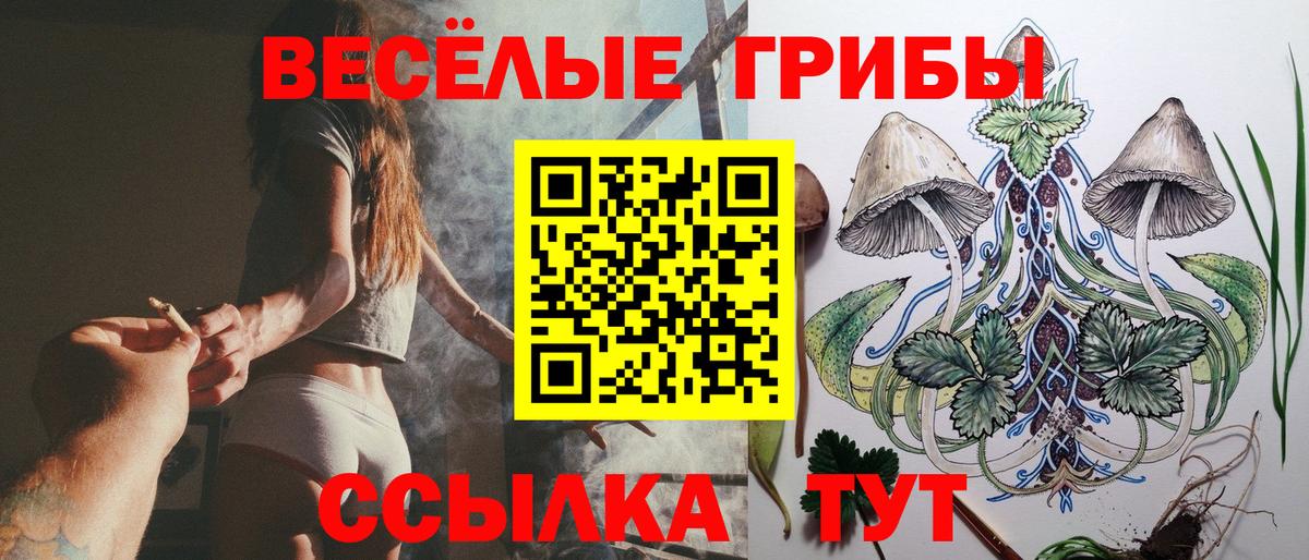 Галлюциногенные грибы мицелий Белогорск